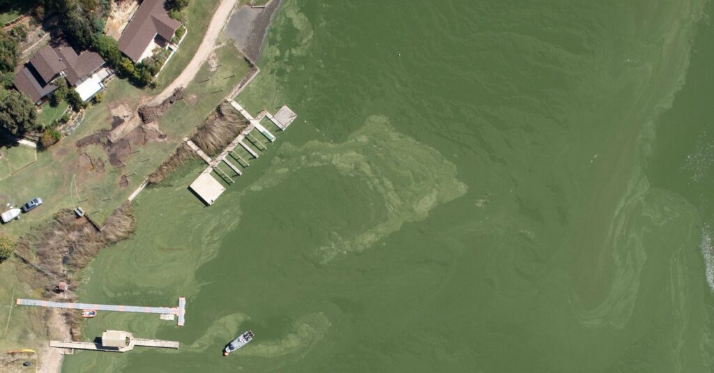 Lago Vichuquén recientemente con coloración verde. Cortesía de Gabriel Moraga, encargado de comunicaciones de la municipalidad en el período anterior.