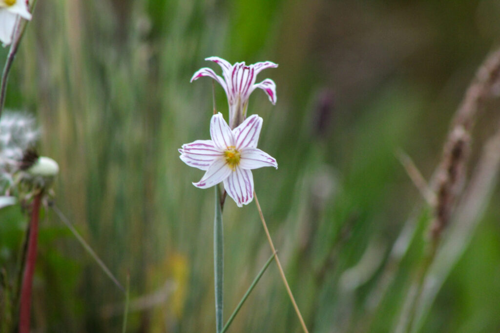 Fjällräven Classic Chile 2025. Créditos: ©Tamara Núñez