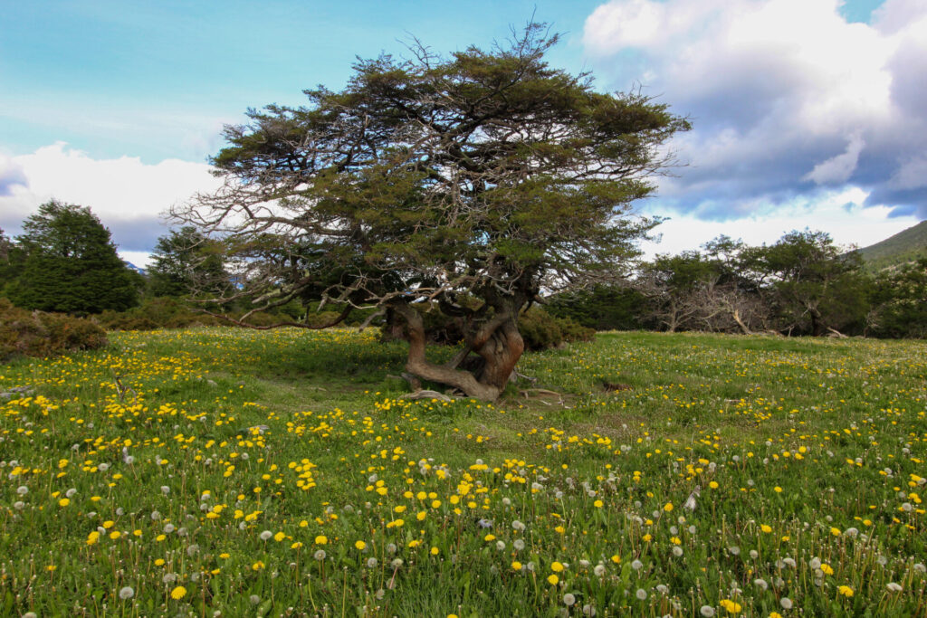 Fjällräven Classic Chile 2025. Créditos: ©Tamara Núñez