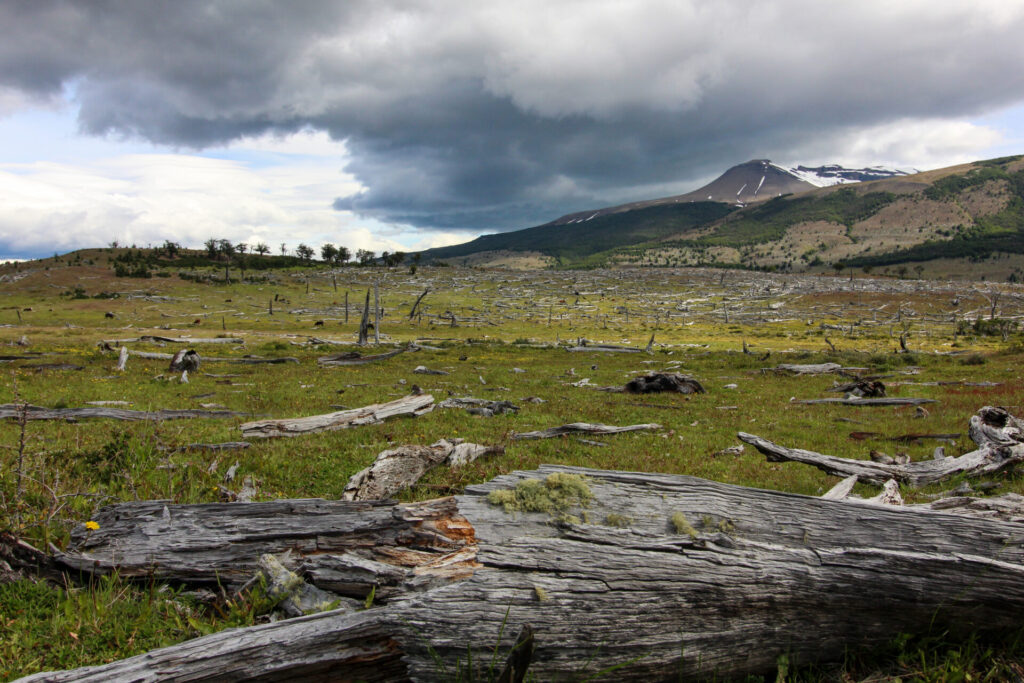 Fjällräven Classic Chile 2025. Créditos: ©Tamara Núñez