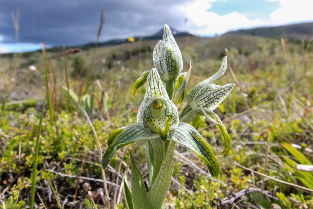 Fjällräven Classic Chile 2025. Créditos: ©Tamara Núñez