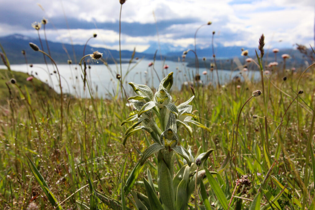 Fjällräven Classic Chile 2025. Créditos: ©Tamara Núñez