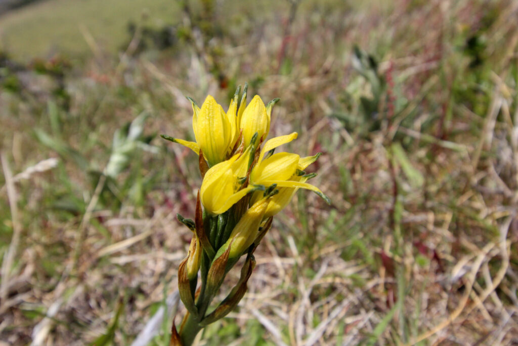 Fjällräven Classic Chile 2025. Créditos: ©Tamara Núñez