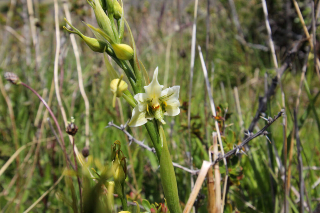 Fjällräven Classic Chile 2025. Créditos: ©Tamara Núñez