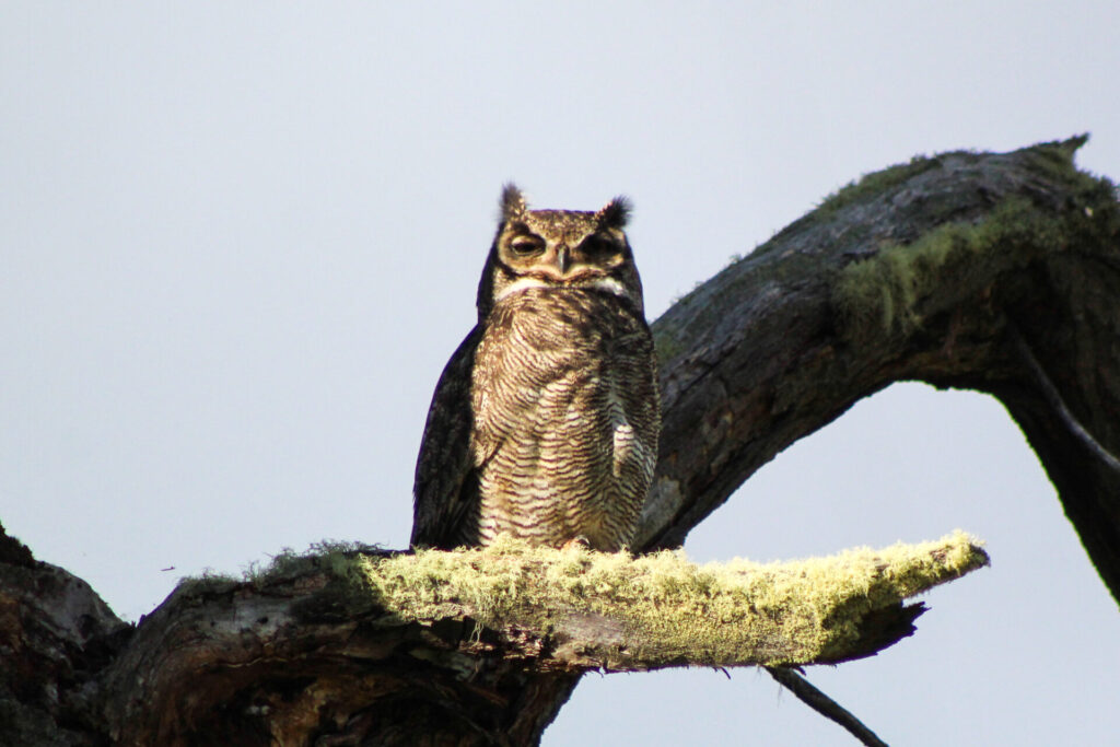 Fjällräven Classic Chile 2025. Créditos: ©Tamara Núñez