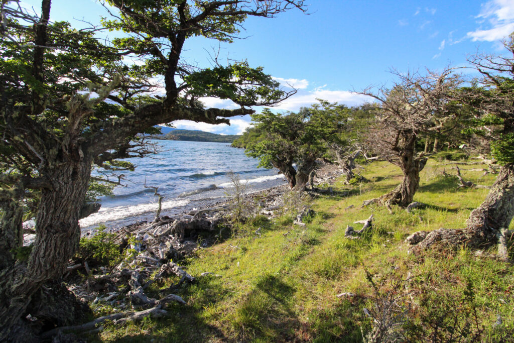 Fjällräven Classic Chile 2025. Créditos: ©Tamara Núñez