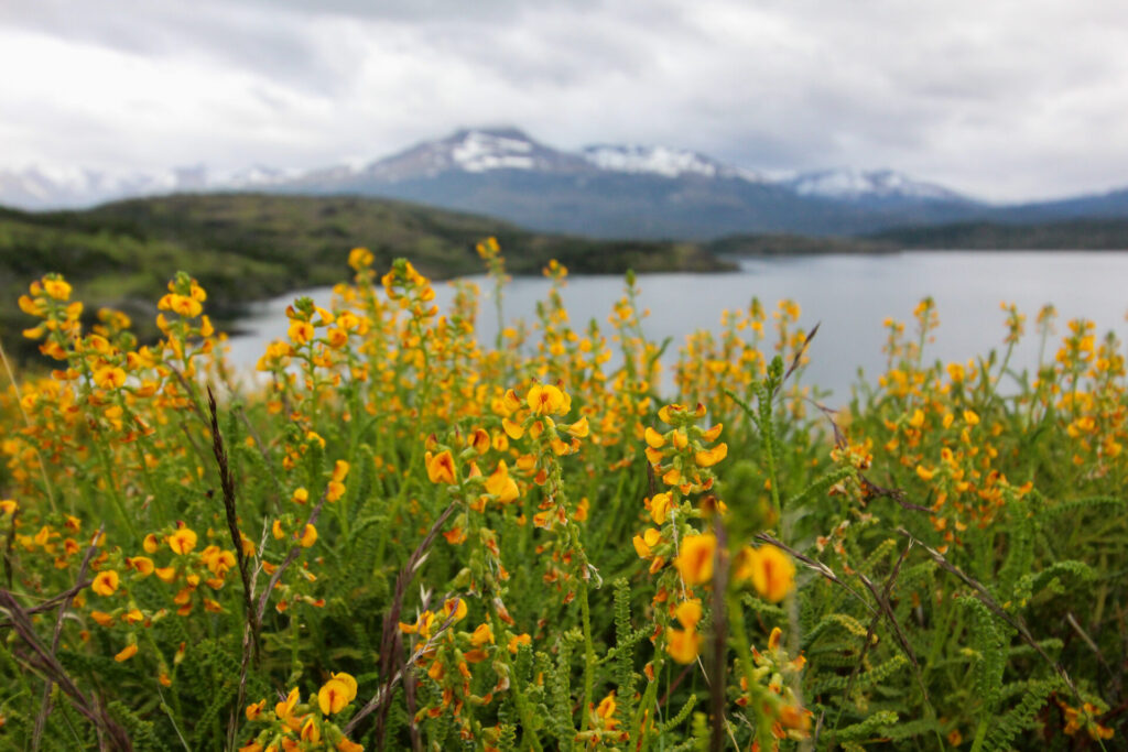 Fjällräven Classic Chile 2025. Créditos: ©Tamara Núñez
