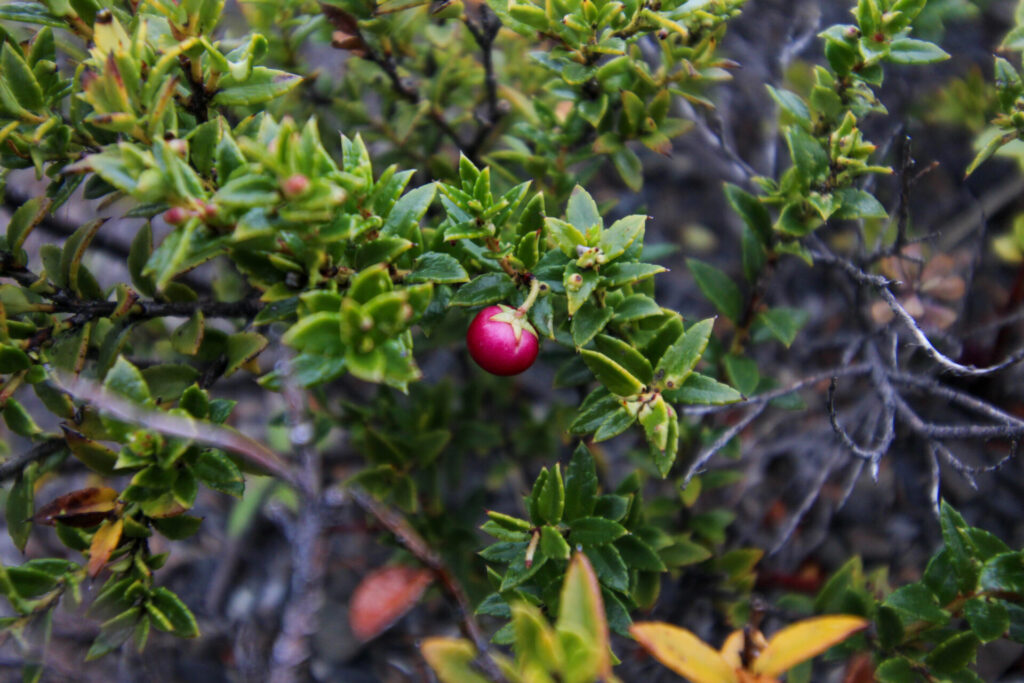 Fjällräven Classic Chile 2025. Créditos: ©Tamara Núñez