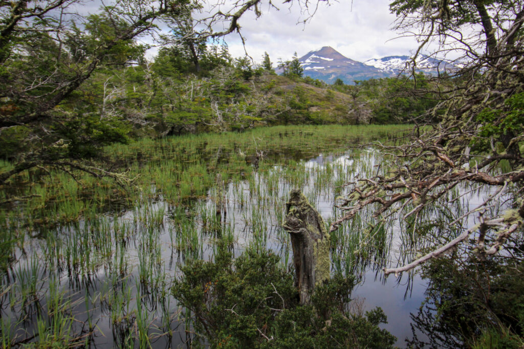 Fjällräven Classic Chile 2025. Créditos: ©Tamara Núñez