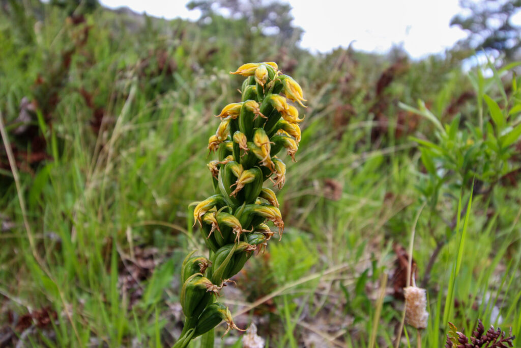 Fjällräven Classic Chile 2025. Créditos: ©Tamara Núñez
