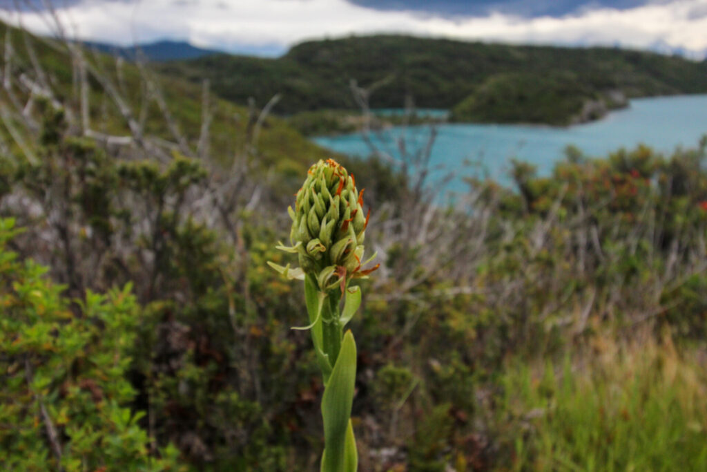 Fjällräven Classic Chile 2025. Créditos: ©Tamara Núñez
