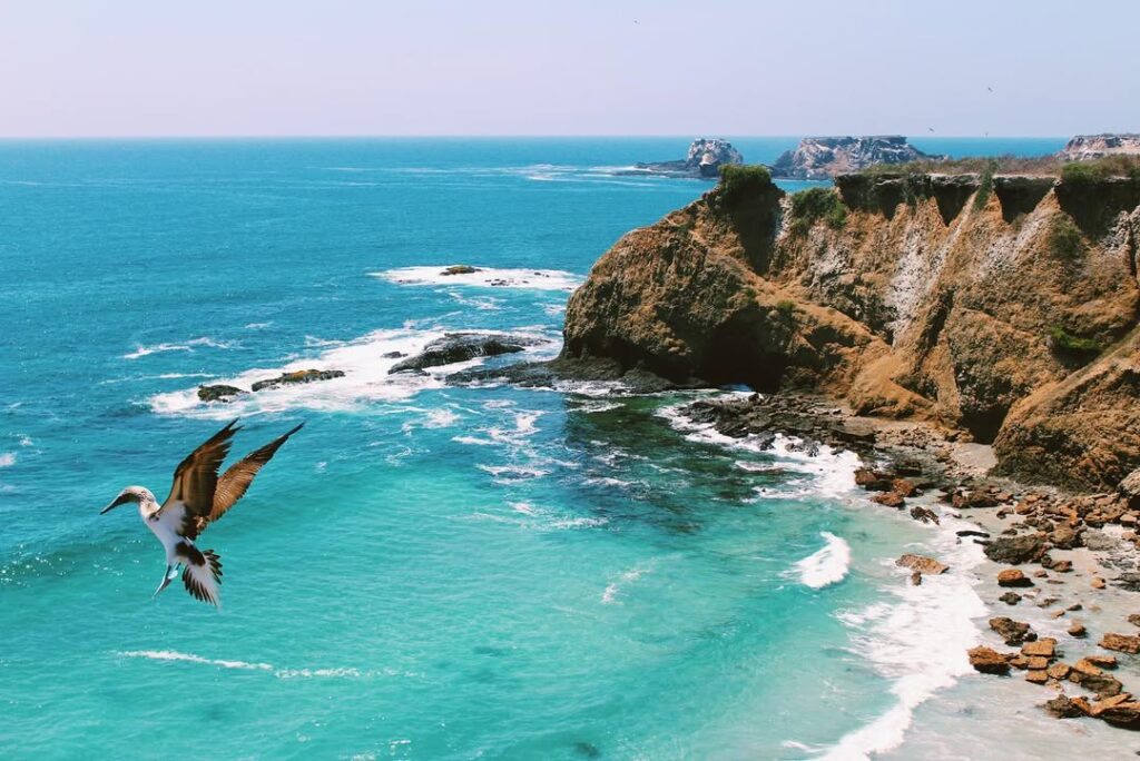 Isla de la Plata c Domenica Alvarado