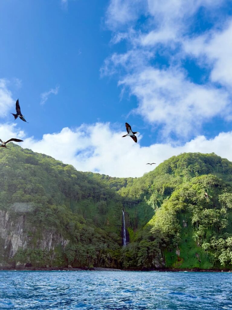 Isla del Coco - Katherine Quirós Poveda