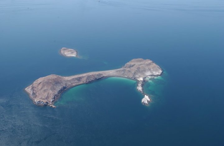 Isla Partida Norte, sitio donde el murciélago pescador forma su mayor colonia de maternidad en el Golfo de California. Foto: cortesía José Juan Flores