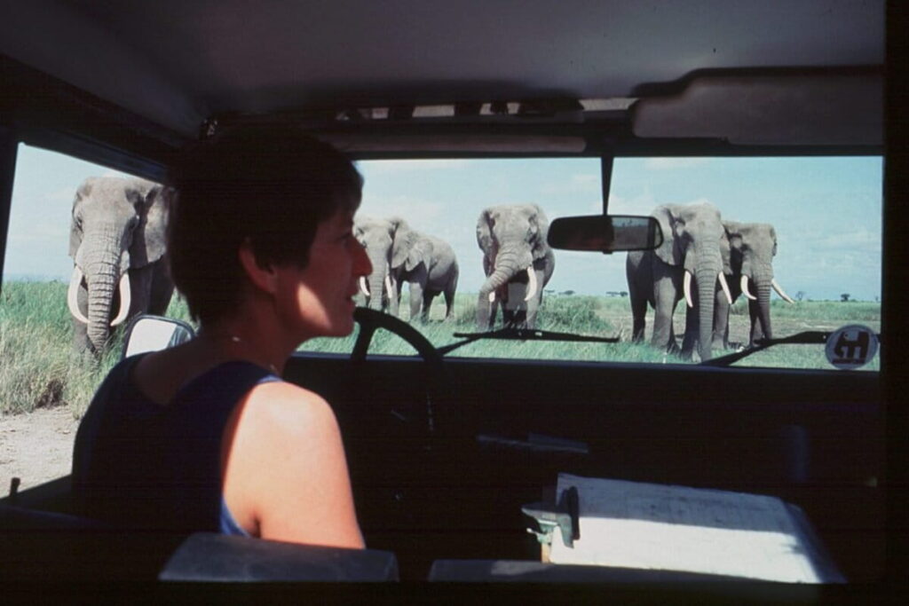 Katy Paine es una reconocida bióloga acústica. Estudia la comunicación de los elefantes y de las ballenas. Foto: cortesía de Elephant Listening Project
