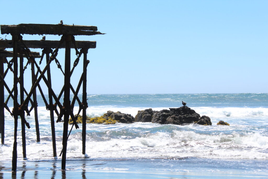 Llico, Región Del Maule, Chile. Foto: Nelson Pérez