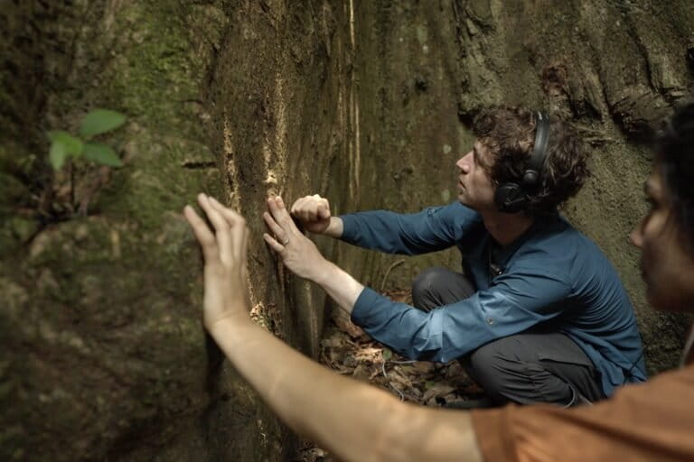 Miembros del colectivo MOTH practican escuchas al mundo más que humano, en Sarayaku, Amazonía ecuatoriana. Foto: cortesía MOTH Program