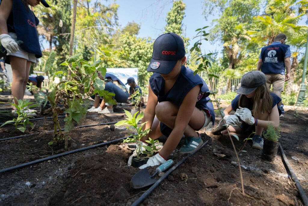 Plantación Bosque Miyawaki.