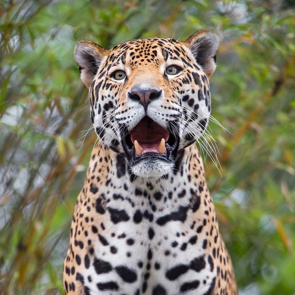 Parque nacional c Xamist eco