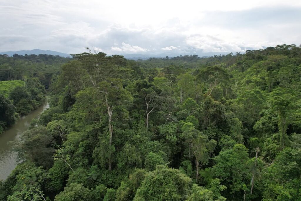 Parque Nacional Darien c @darienparquenacional