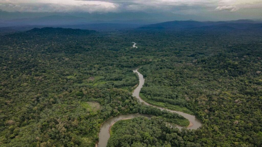 Parque Nacional Darien c @darienparquenacional 2