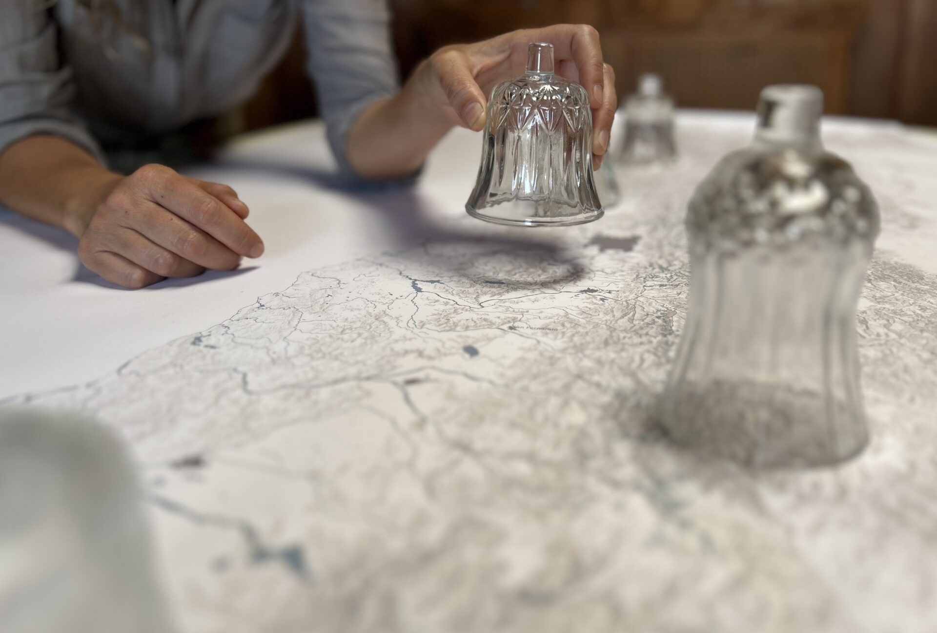 Perfume geográfico “Aromas de Chile”: Conociendo el proyecto que traza una ruta aromática de las plantas chilenas