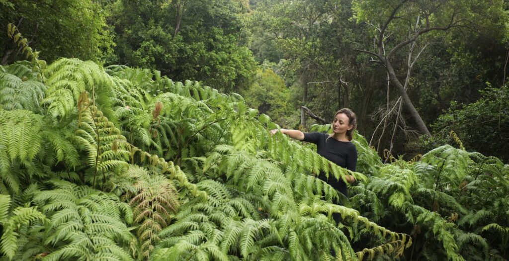 Perfumería Botánica "Aromas de Chile". Créditos: Perfumería Botánica.
