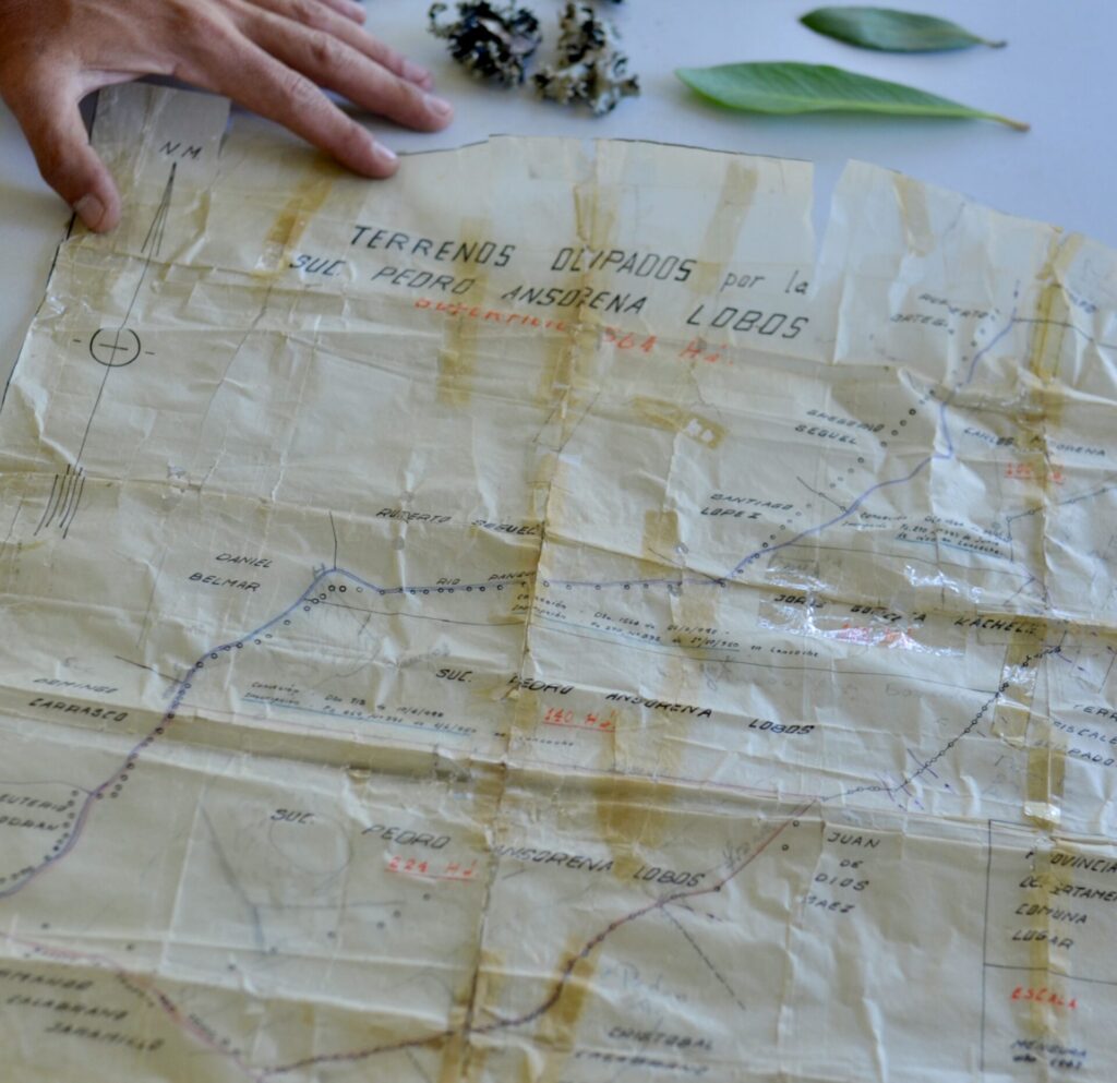 Perfumería Botánica "Aromas de Chile". Créditos: Perfumería Botánica.