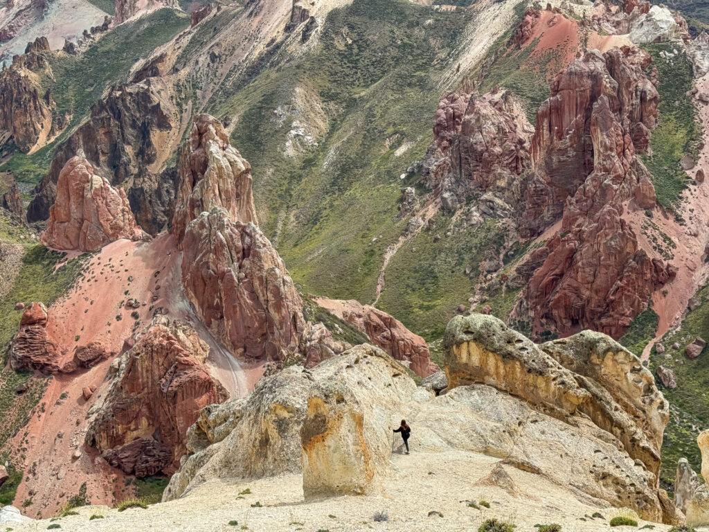 Reserva nacional Jeinimeni. Foto disponible en libro. 