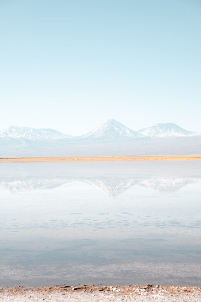 Reserva Nacional Los Flamencos - San Pedro de Atacama. Benjamín Valenzuela. (1)