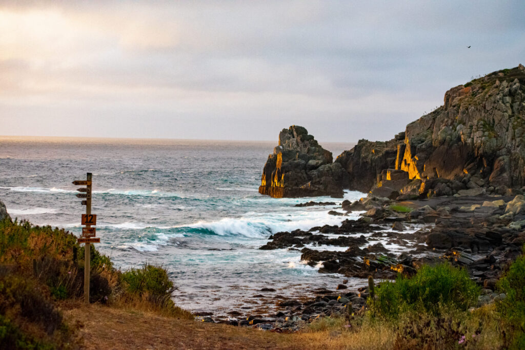 Playa Maitencillo, Reserva Puquén. Créditos: ©Reserva Puquén.