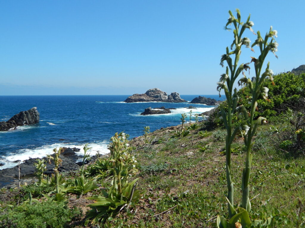 Reserva Puquén. Créditos: ©Reserva Puquén.