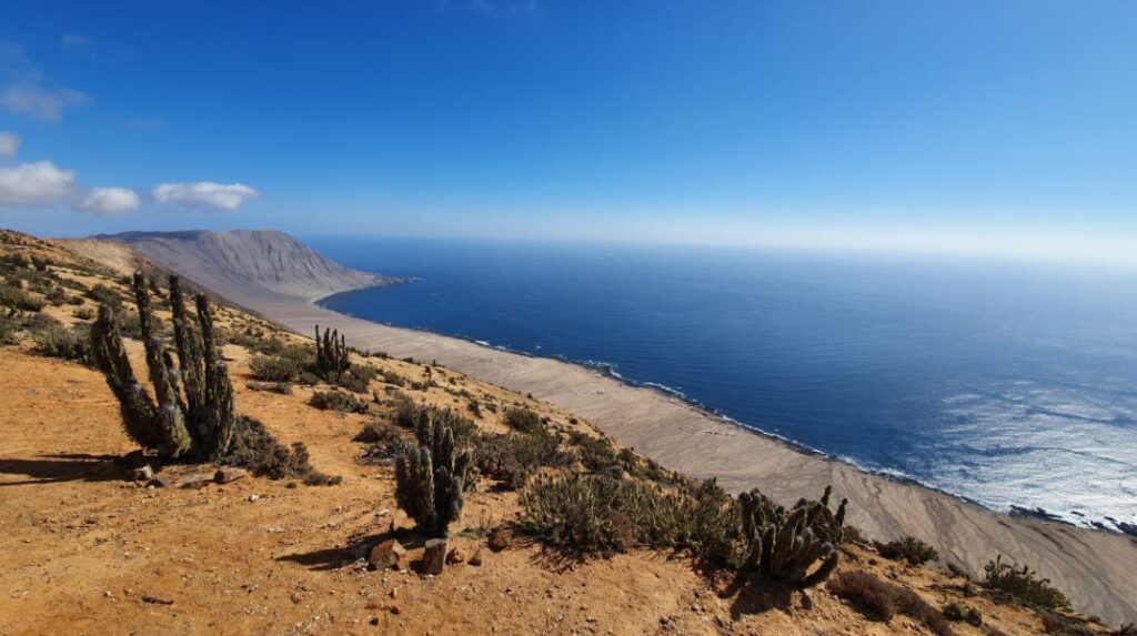 Las Lomitas – Parque Nacional Pan de Azúcar. Créditos: Agustín Denegri / Andeshandbook.
