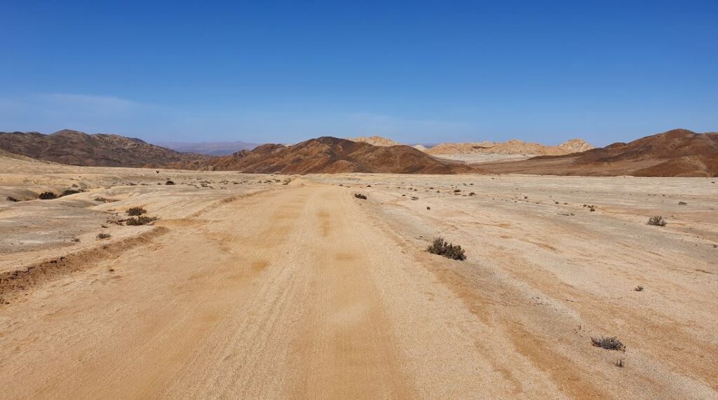Las Lomitas – Parque Nacional Pan de Azúcar. Créditos: Agustín Denegri / Andeshandbook.