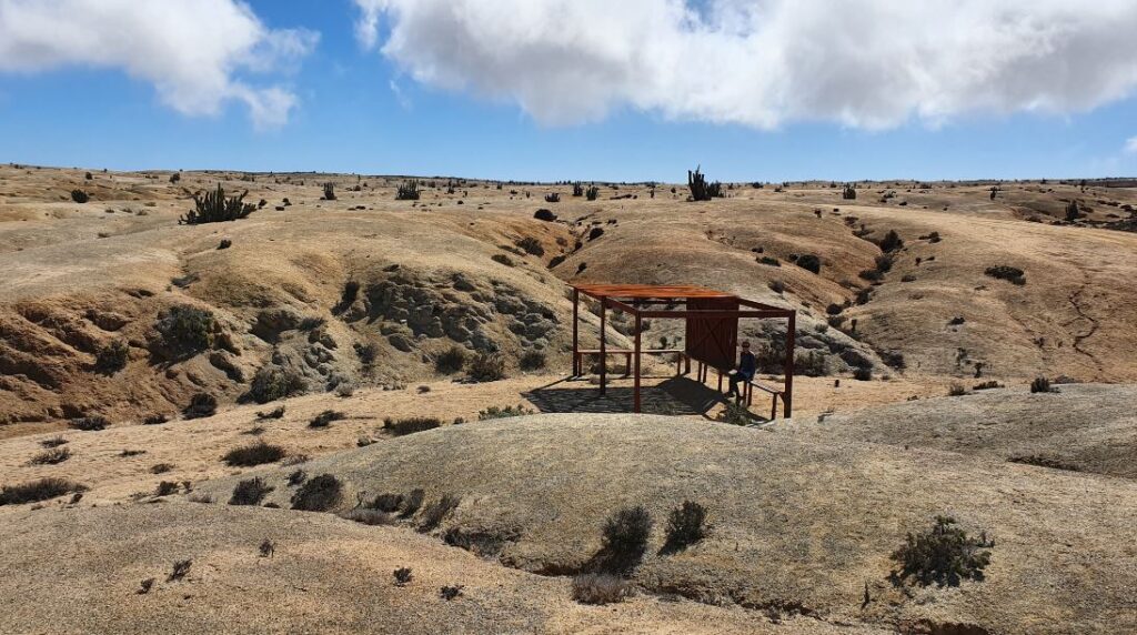 Las Lomitas – Parque Nacional Pan de Azúcar. Créditos: Agustín Denegri / Andeshandbook.