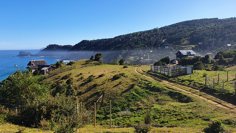 Sendero Troncal Mapu Lahual. Créditos: Agustín Denegri / Andeshandbook.