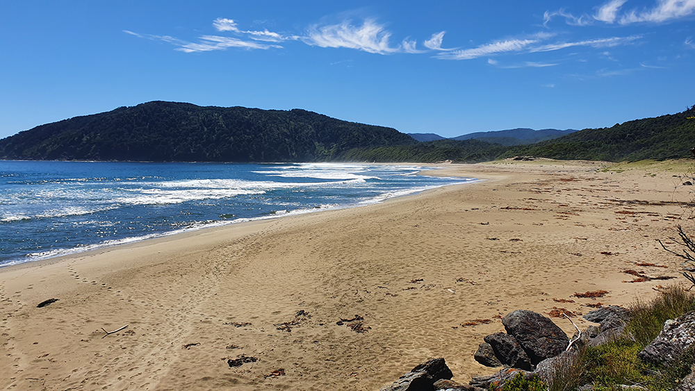 Sendero Troncal Mapu Lahual. Créditos: Agustín Denegri / Andeshandbook.