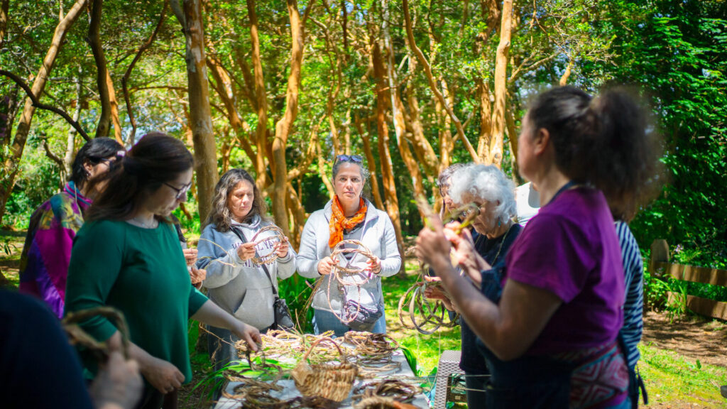 Taller de cestería botánica