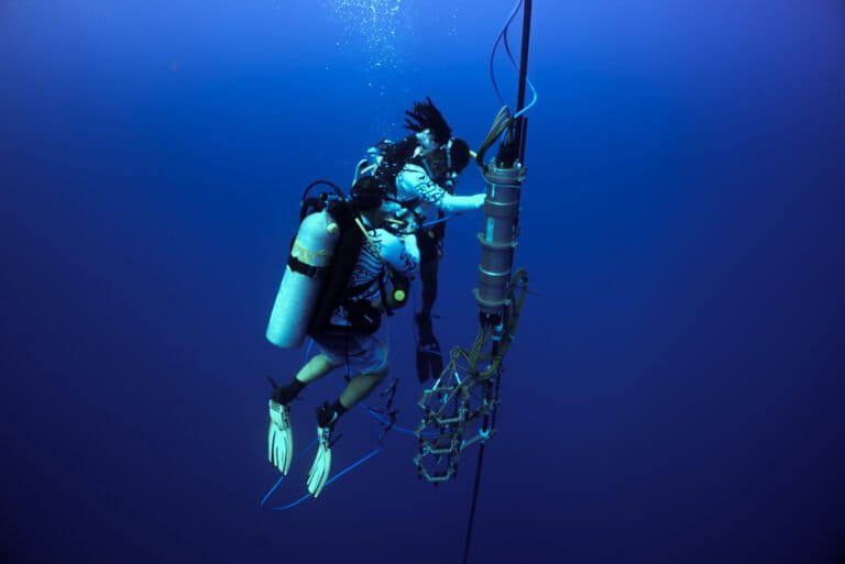 Yanive Aluma y Odel Harve, del equipo de CETI, revisan una unidad de grabación de ballenas diseñada para localizar las vocalizaciones de los cachalotes. Foto: cortesía © Project CETI
