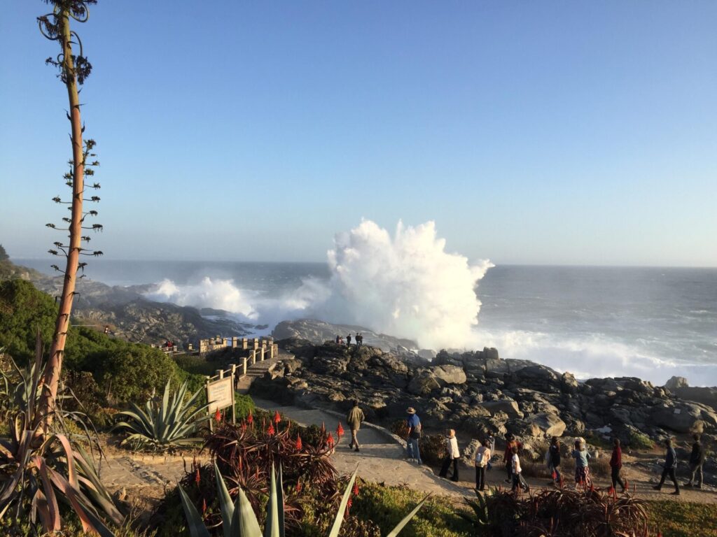 Zapallar. Créditos: Patricia Cruz.