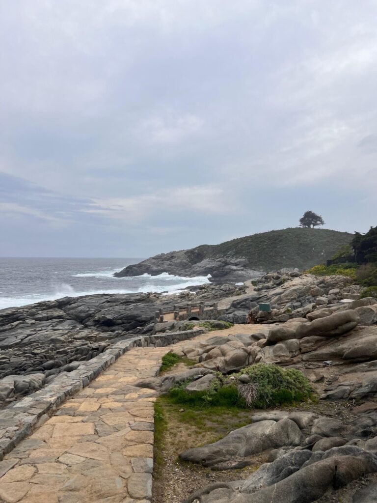 Zapallar. Créditos: Fernanda García.