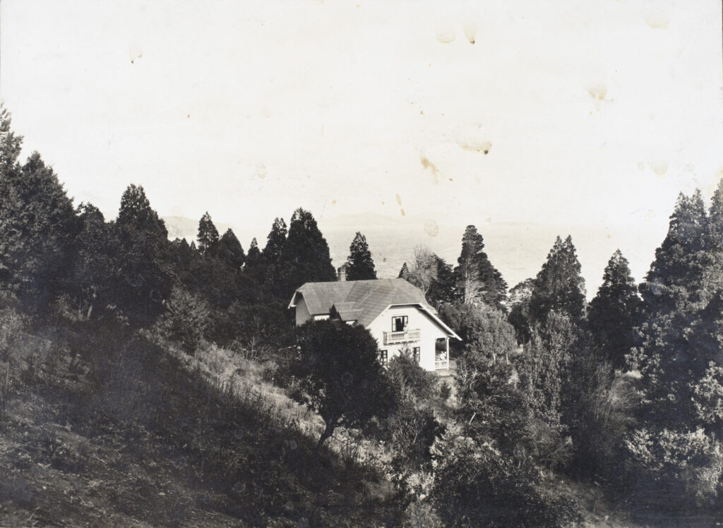 Casa Frei antiguedad