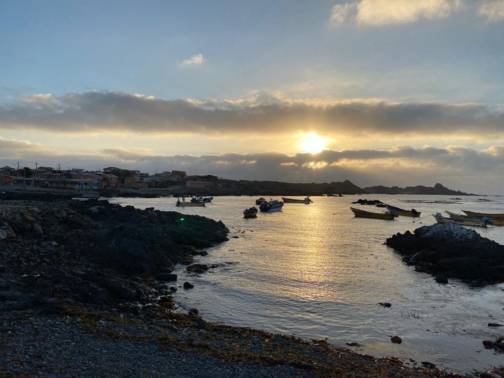 ©Explorasub/César Villaroel