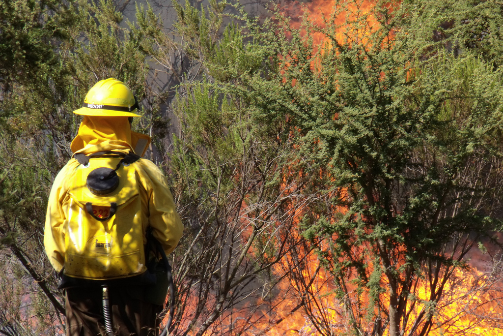 Brigadista de Conaf enfrentando incendios forestales en 2010 en Villa Alemana.