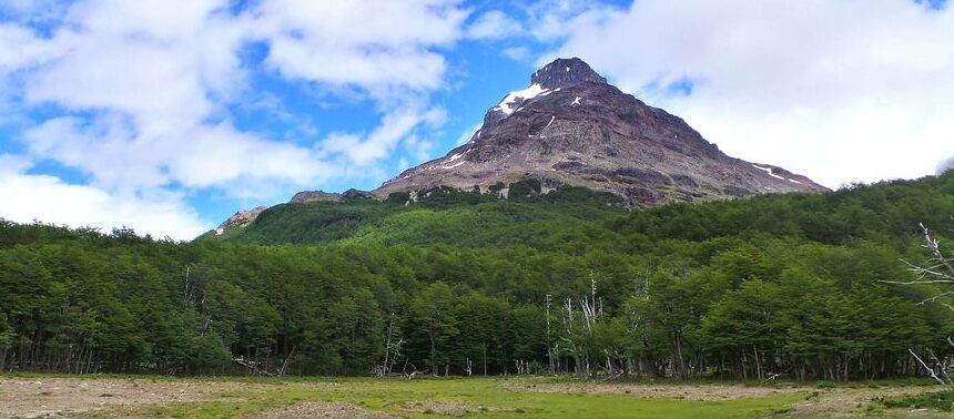 MALLIN LA PLAZA. DANIEL PÉREZ A. El bello mallín La Plaza. Foto hacia el Sur, diciembre 2018.