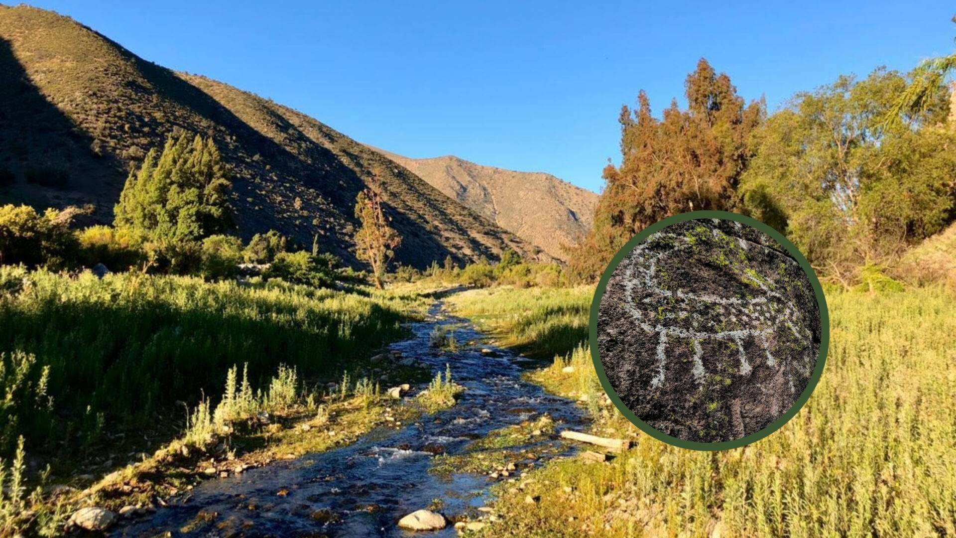 Petroglifos y biodiversidad: Descubriendo el fascinante valle de Chalinga en el Choapa