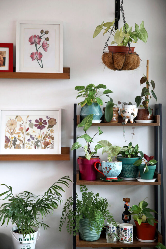 Foto incluida en el libro.