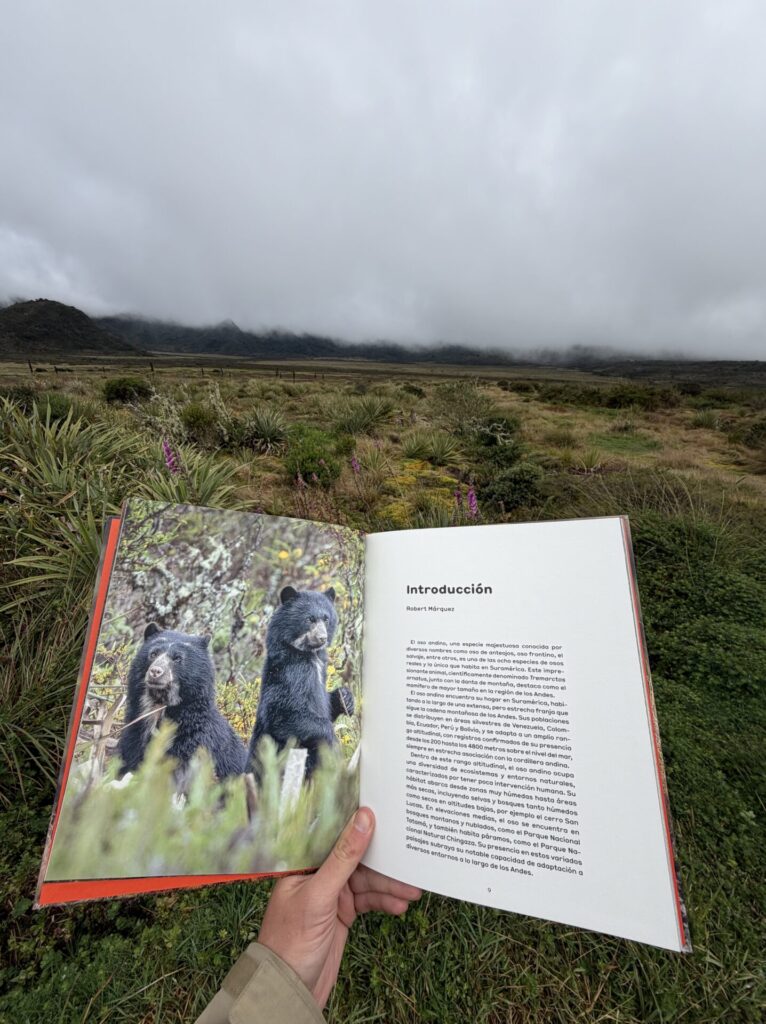 El Oso Andino, obra que reúne extraordinaria colección fotográfica de Sebastián Di Domenico
