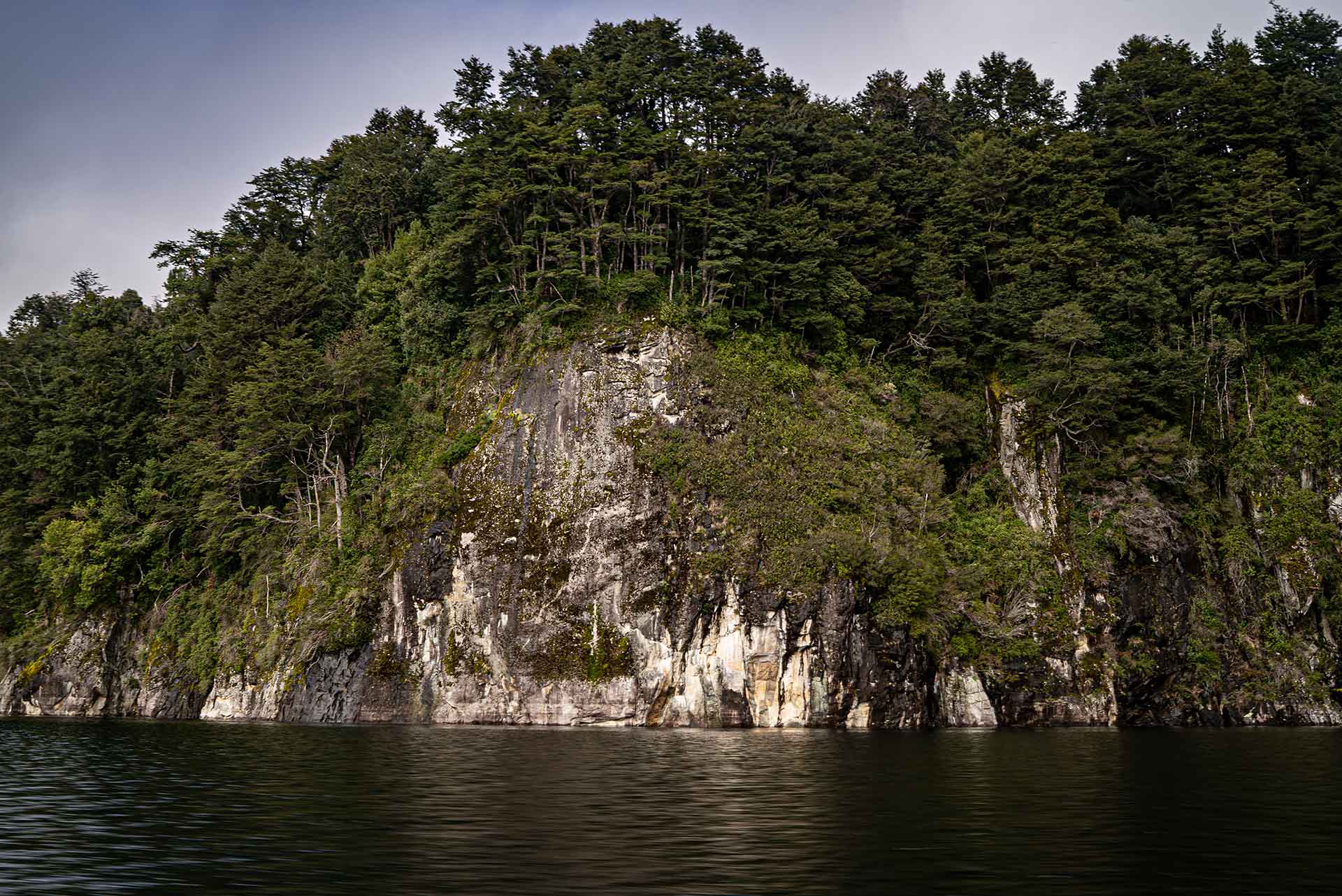 Fundación Tierra Austral recibe premio internacional por impulsar un modelo pionero de conservación en Chile