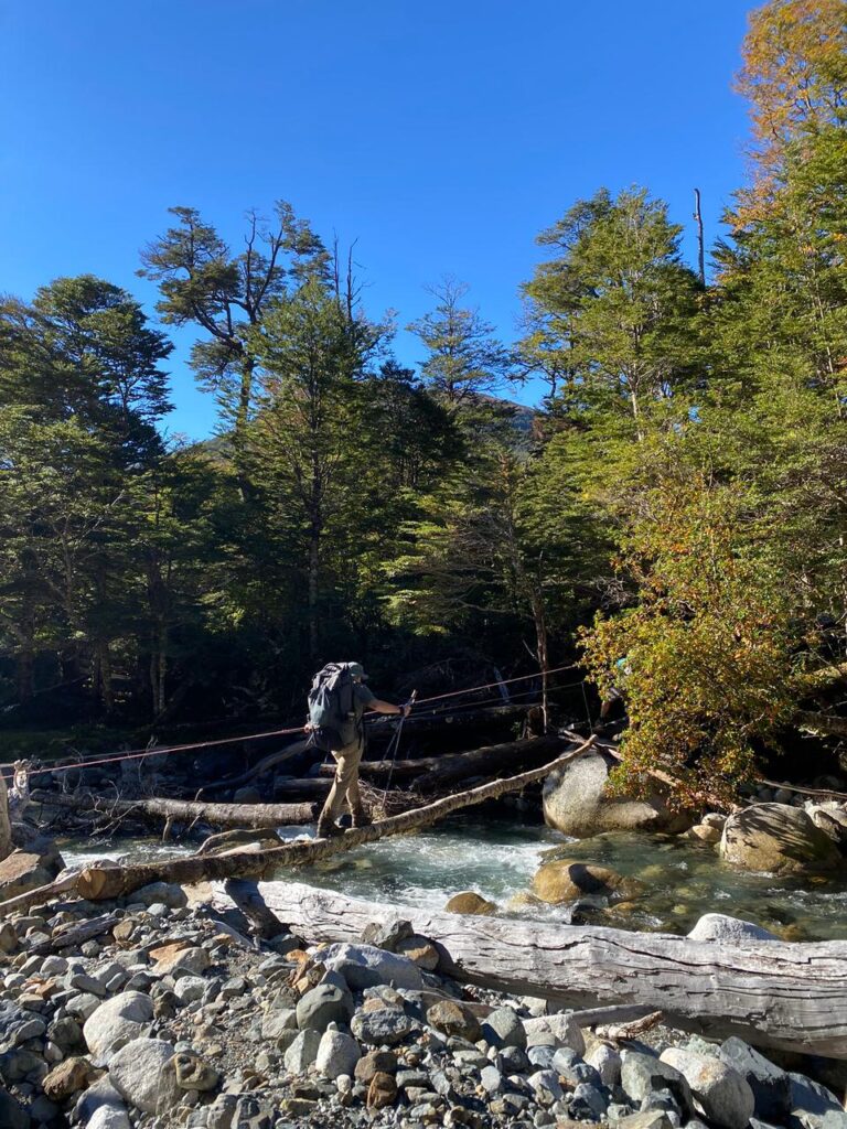 Torres del avellano en otoño. Cortesía de Felipe Howard.